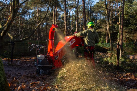 En man använder en röd flismaskin i en skog. Grön utrustning och spån virvlar runt.